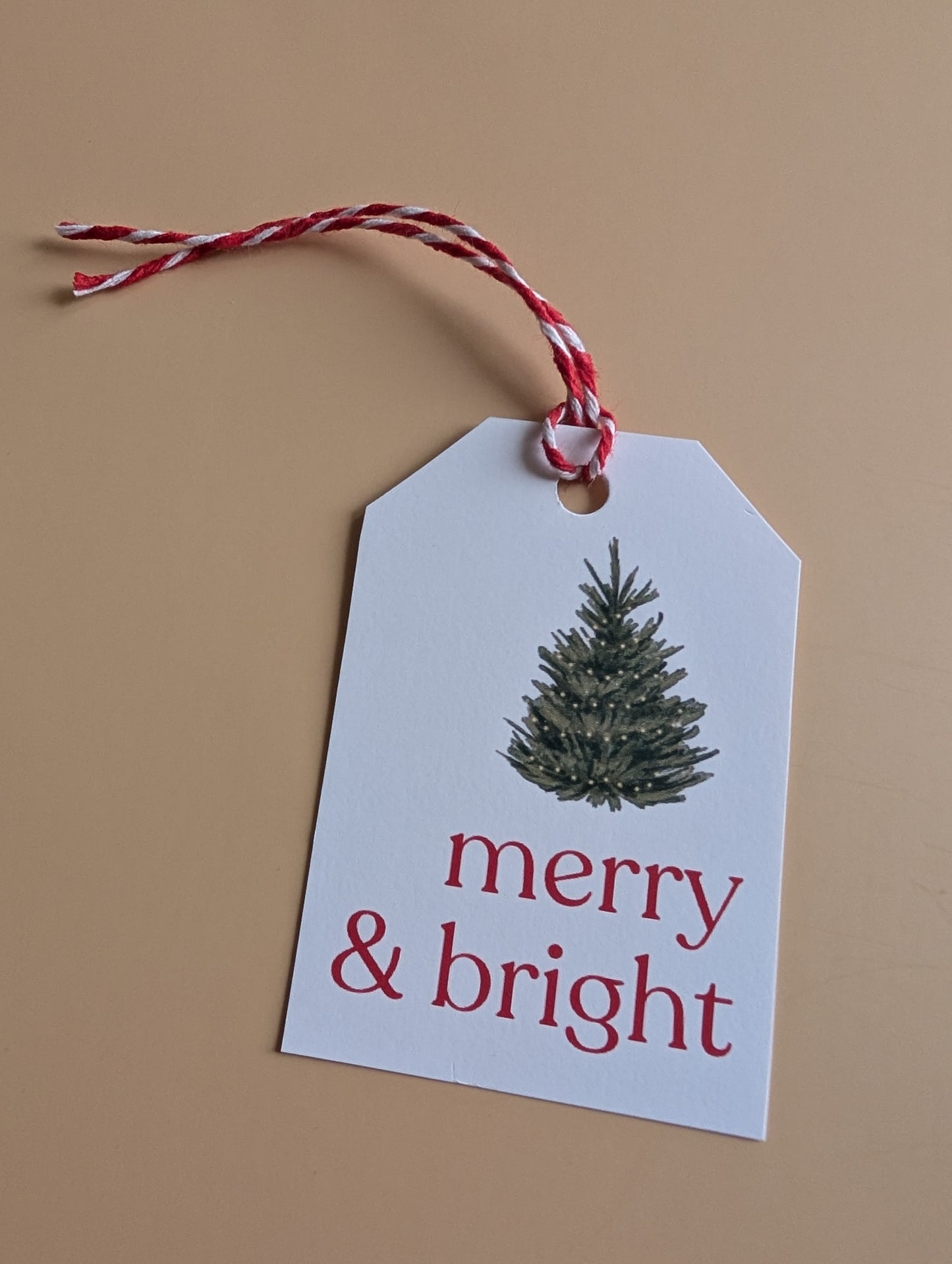 Merry & Bright Gift Tag