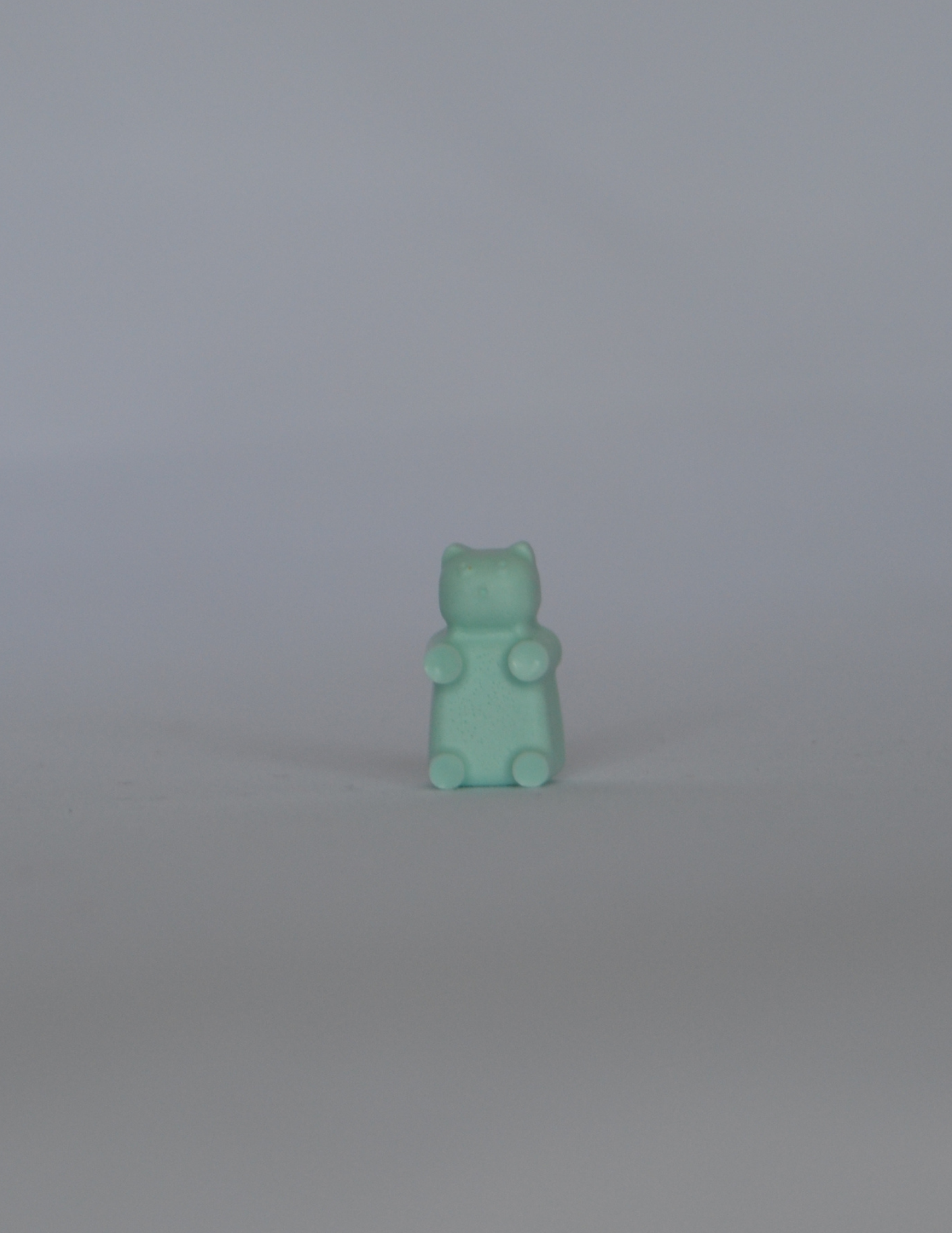 Seafoam Mist Wax Sealing Beads (Copy)